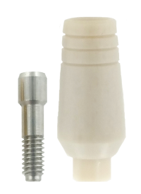ERI PEEK Temporary Abutment